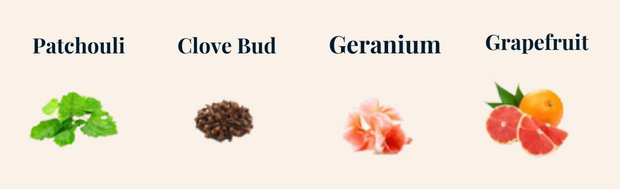 Midnight RoyalTea essential oils: patchouli, clove bud, geranium and grapefruit